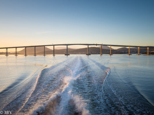 The Derwent River Big Swim