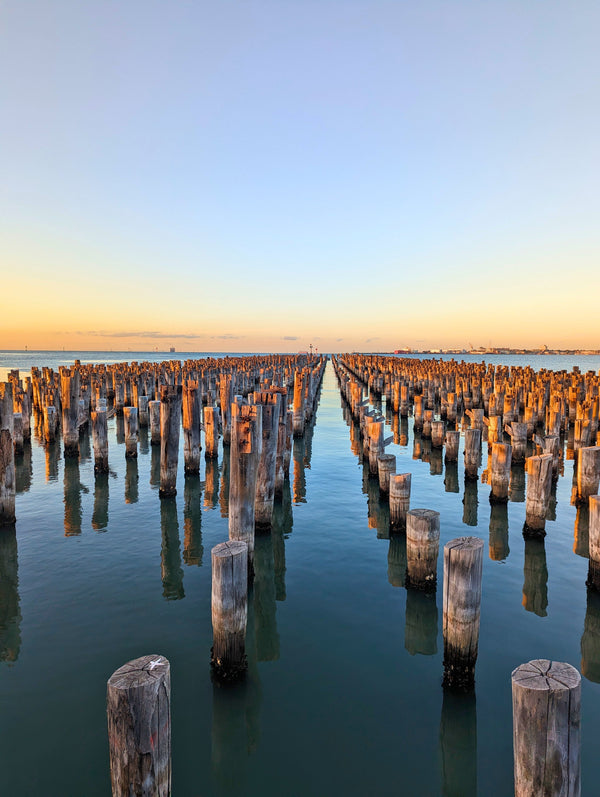 Open water swimming and water quality: is it actually safe to swim?