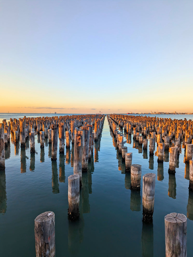 Open water swimming and water quality: is it actually safe to swim?